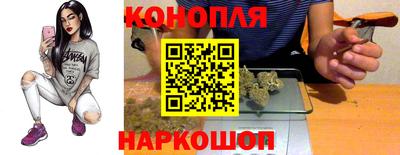 крисы Боровичи