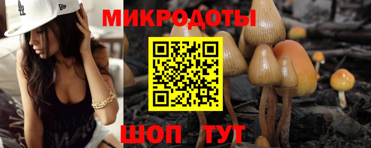 Галлюциногенные грибы Magic Shrooms Ливны